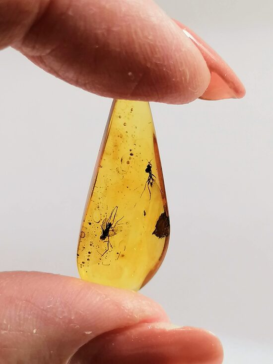 Baltijos gintaro gabaliukas su inkliuzu